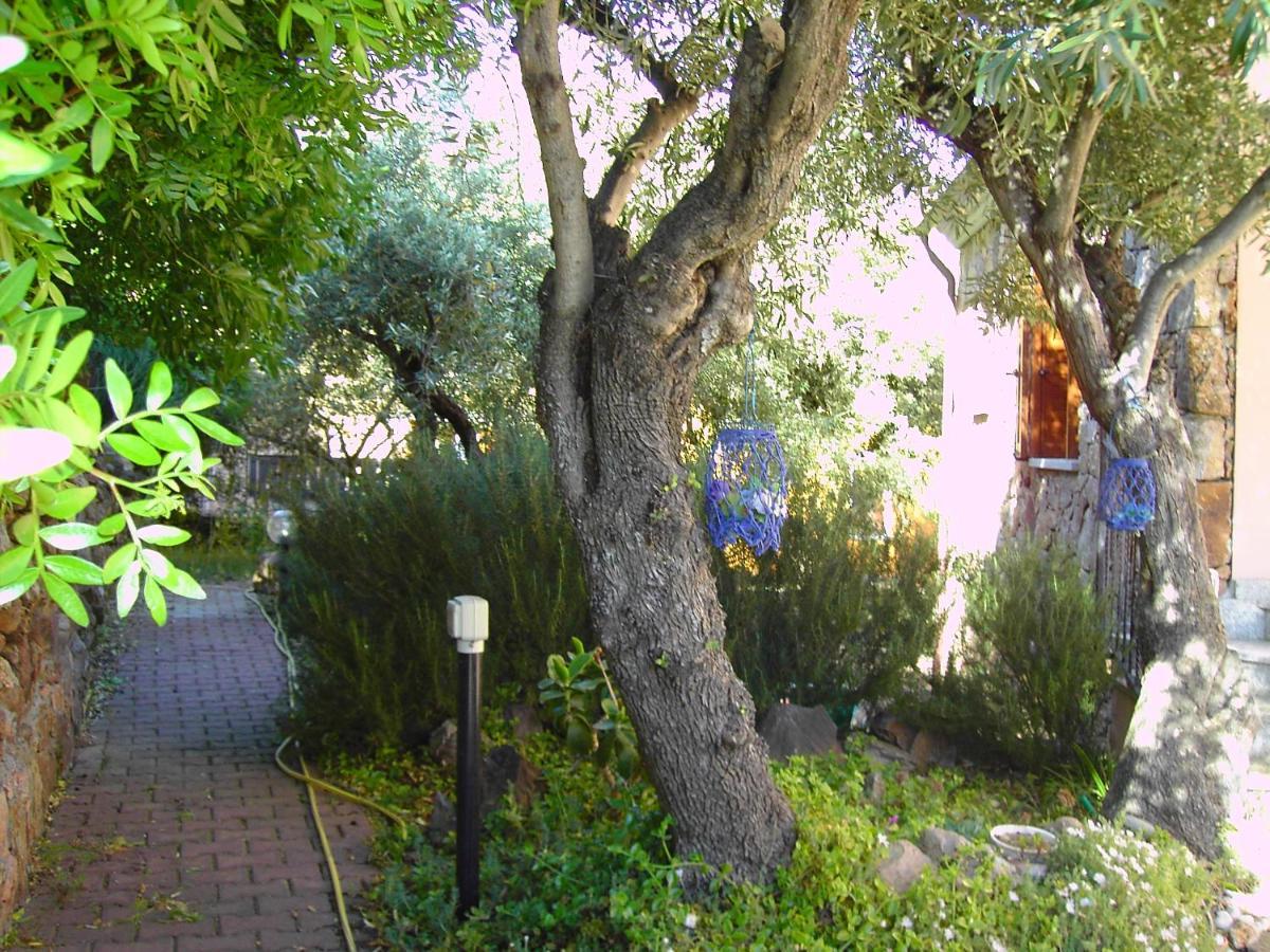 Apartament Secret Garden Budoni Zewnętrze zdjęcie